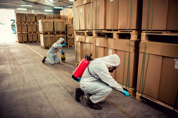  Lower Burrell, PA Pest Control Pros