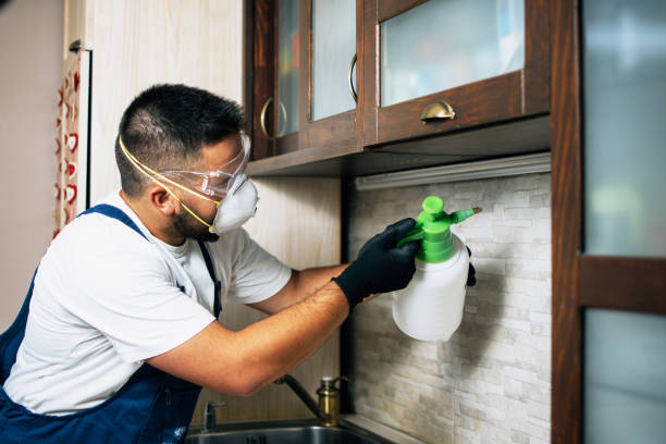 Best Wasp Removal Services  in Lower Burrell, PA