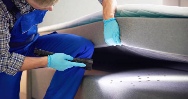 Professional Pest Control in Lower Burrell, PA