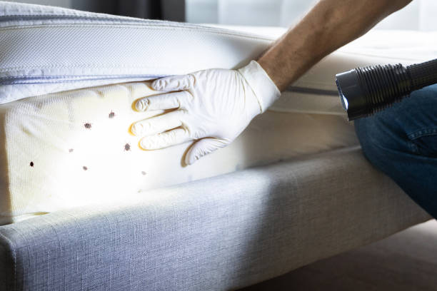 Best Exterminator Services  in Lower Burrell, PA