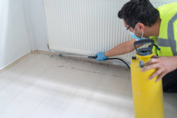 Best Emergency Pest Control  in Lower Burrell, PA